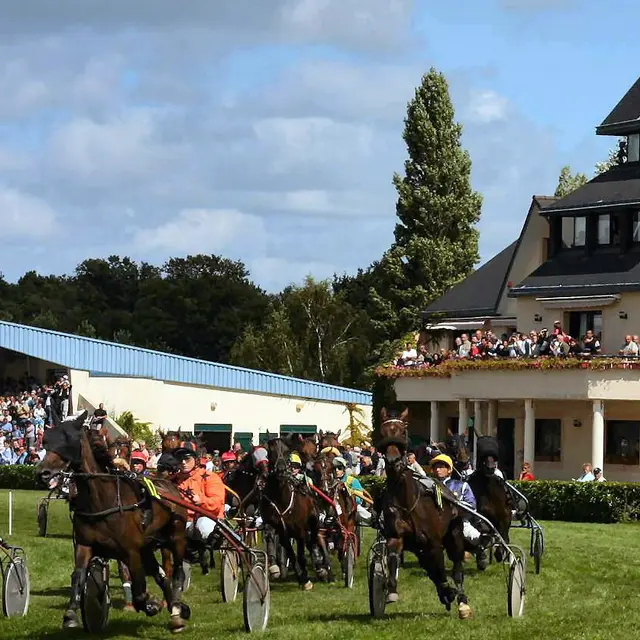 Courses hippiques Questembert.JPG