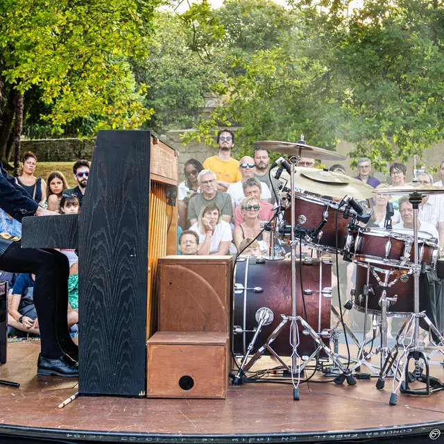 LeDernierConcert3-@SylvainMarchesseau-PETIT.jpg