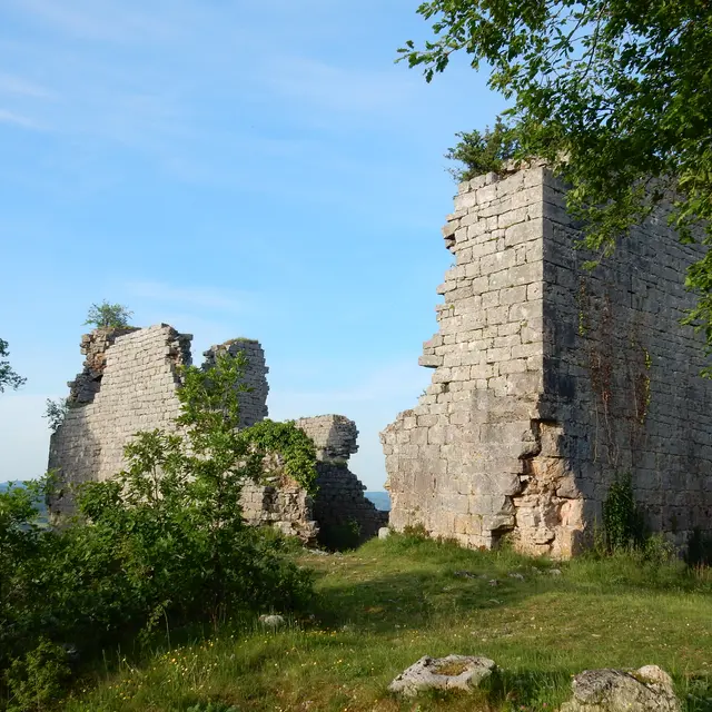 texte thématique - Carennac VD32 - ruines de taillefer - pays art et histoire.JPG