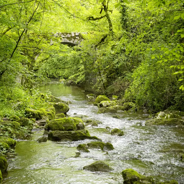 VUE PRINCIPALE_L'Alzou au printemps©Département du Lot.jpg