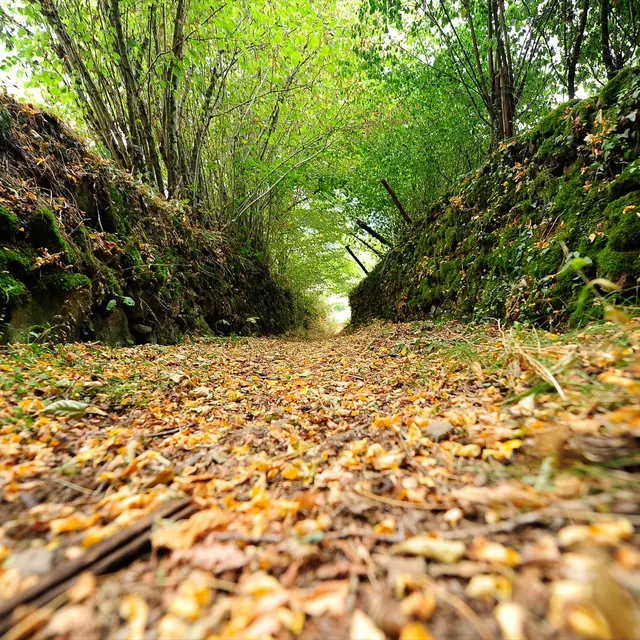 Chemin des arts à Latouille-Lentillac--@Lot Tourisme - OT Vallée de la Dordogne - Cochise Ory.jpg
