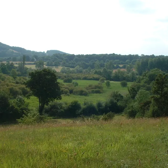 Réserve naturelle Marais de BonnefontPOINT DE VUE 1.JPG