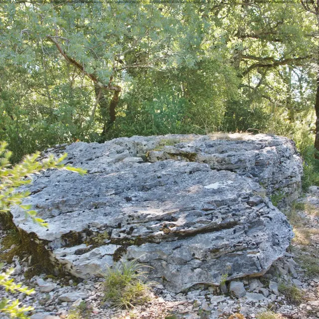 5b - Le dolmen de Pierre Levée_1.jpg