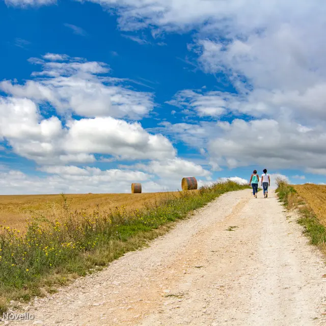 Chemin blanc en Quercy Blanc--© Lot Tourisme - C. Novello-2.jpg