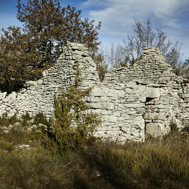 Habitat et granges abandonnés © Nelly Blaya-Département du Lot.jpg