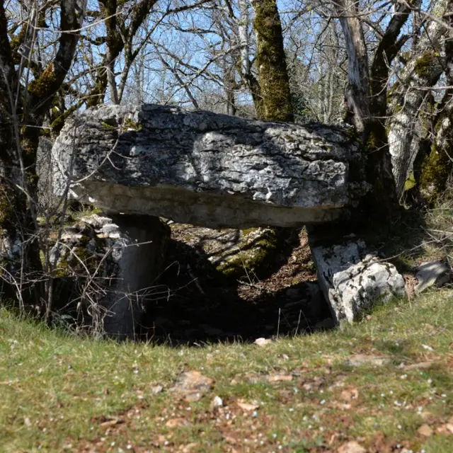 dolmen Joncas.JPG