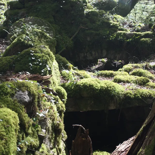 MOULIN DE MONFREU 06 PR.JPG