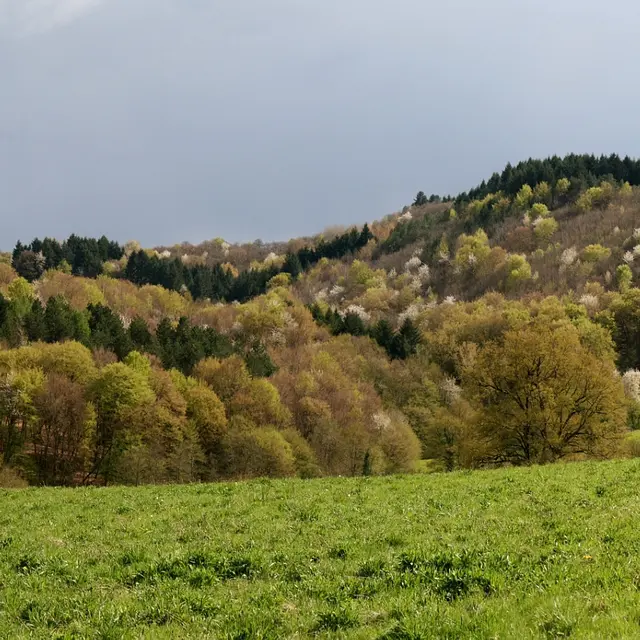 Nuances ségaliennes.jpg