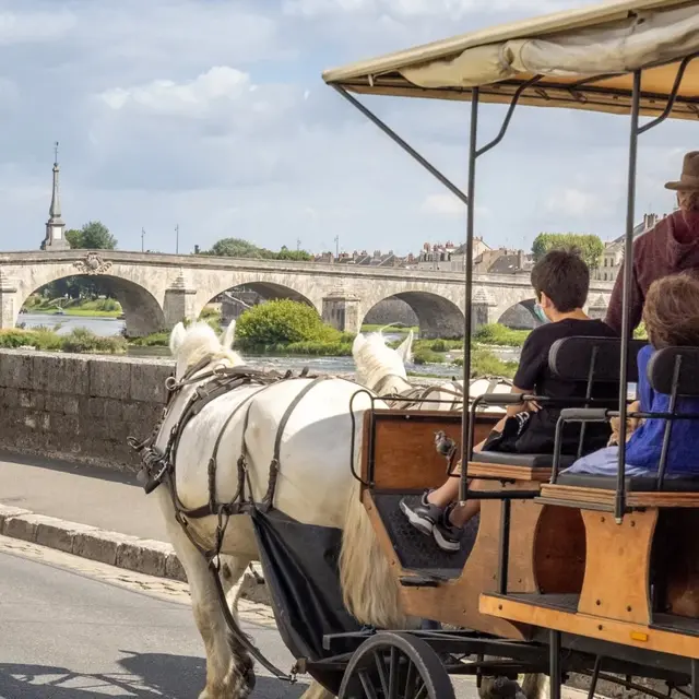 Attelages-Blois-aout2021-whoisreno-6643_recadre-1920x960.jpeg