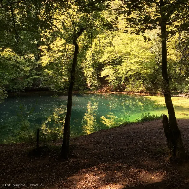 Résurgence Saint-Sauveur - Vallée de l'Ouysse--© Lot Tourisme C. Novello.jpg