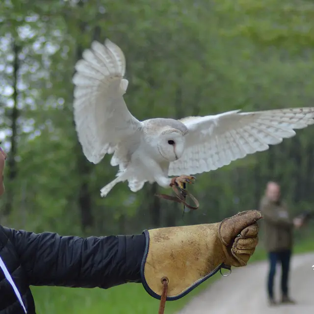 Concours Chouette Expérience.jpg