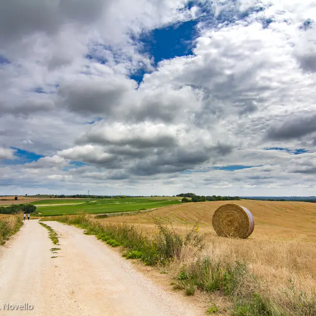Chemin blanc en Quercy Blanc--© Lot Tourisme - C. Novello.jpg