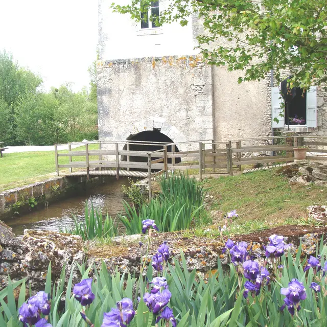 moulin-au-printemps-WEB.jpg