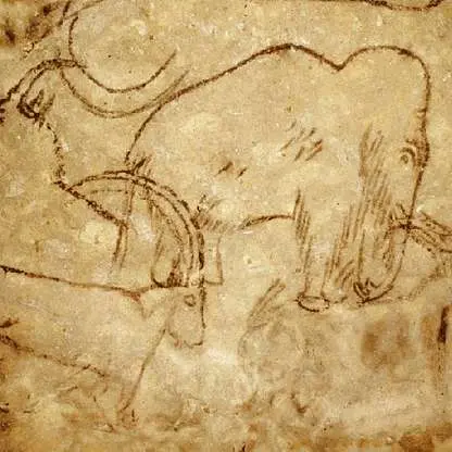 grotte-de-rouff-mammut-4722bc-640.jpg