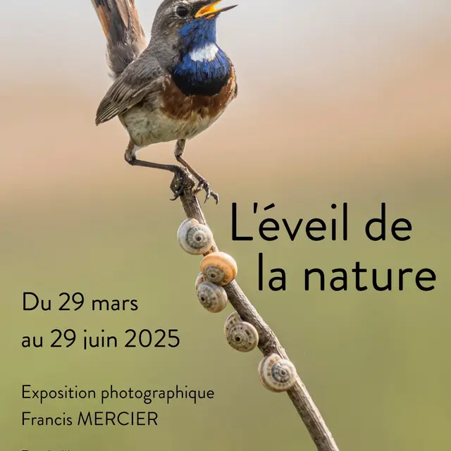 afficheeveilnature.jpeg