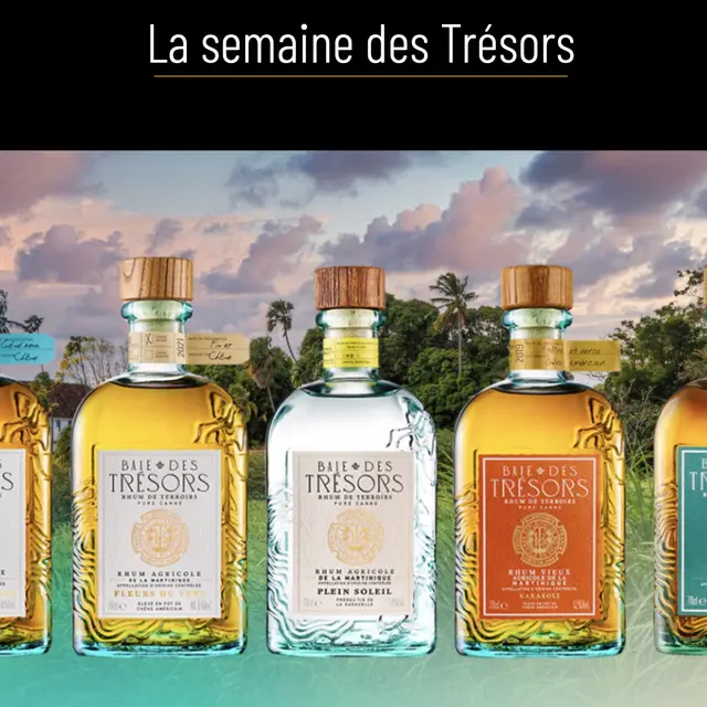 Capture d’écran 2025-11-25 à 12.32.54.jpeg