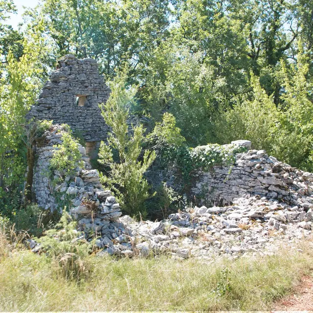 6d La Grangette et la Cazelle_1.jpg