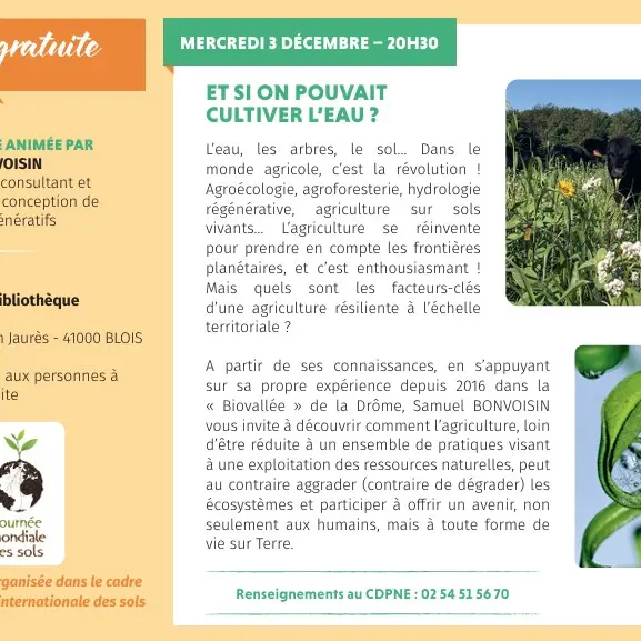 Capture d’écran 2025-10-13 141326.jpg