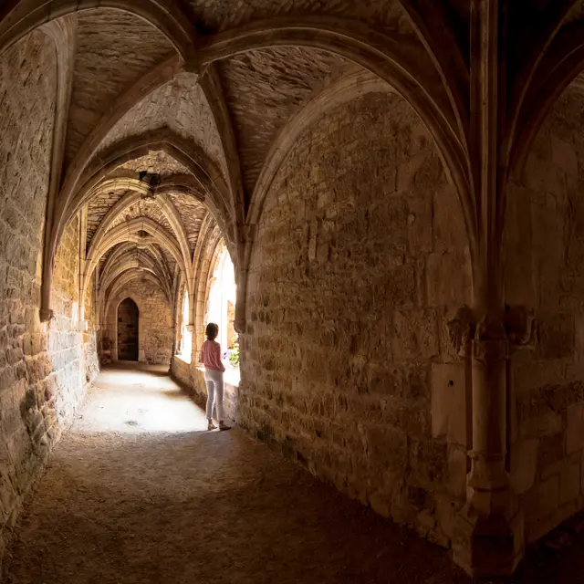 Cloître de Carennac © Lot Tourisme - G. Giuglio 160713-153021-2.jpg