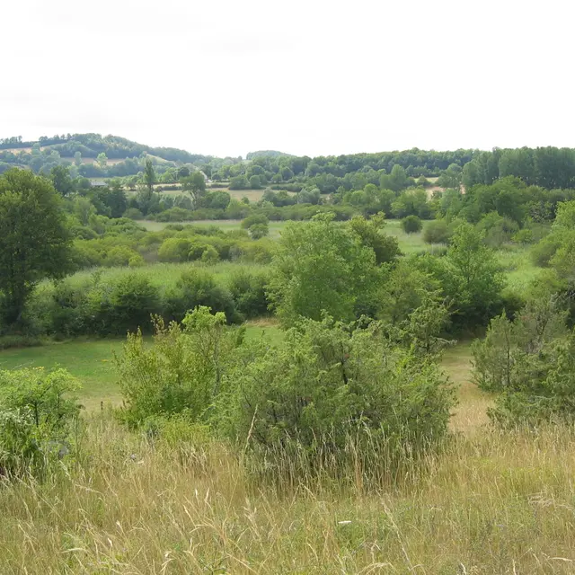 Réserve naturelle Marais de Bonnefont119_1905.JPG