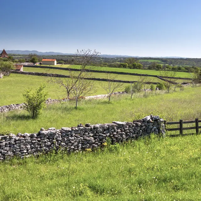 POI 5 - Paysage Causse Gramat © Lot Tourisme C. Novello.jpg