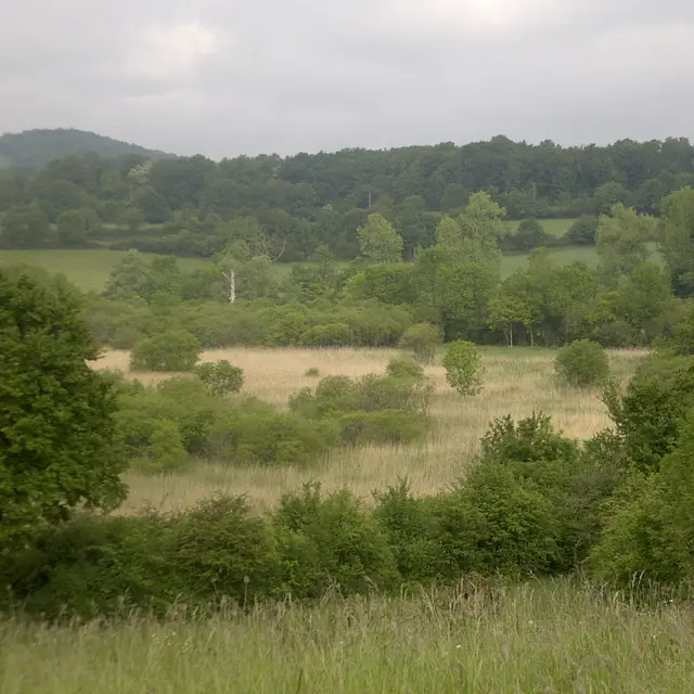 Réserve naturelle Marais de BonnefontImage004.jpg