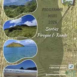 Capture d’écran 2026-02-27 à 13.25.50 Petite.jpeg