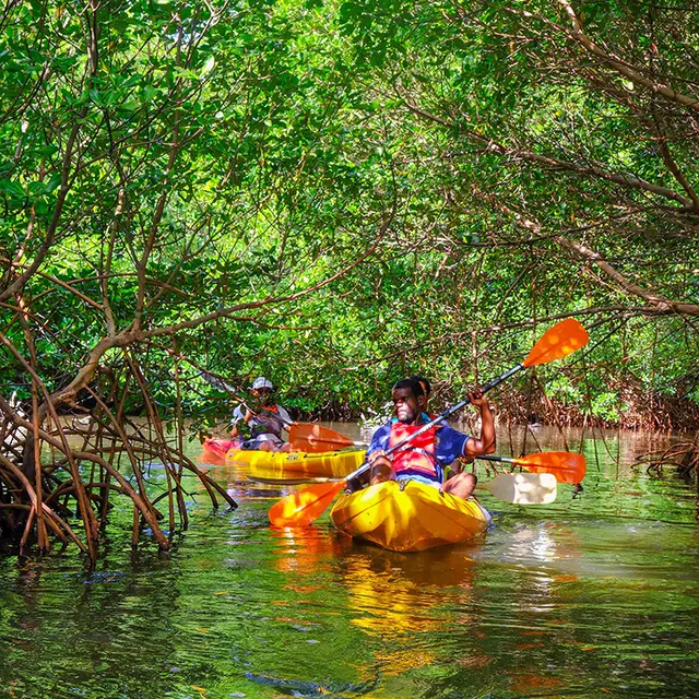 kayak tripping 1.jpg