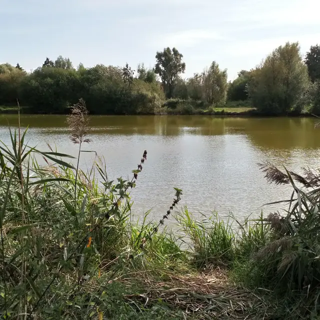 5277750_marais_4jpg.jpg