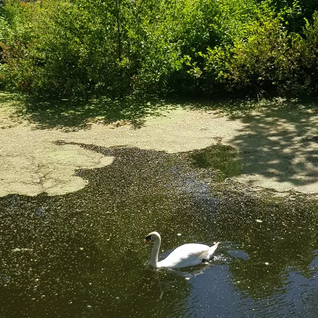 3477924_20180622_144919jpg.jpg