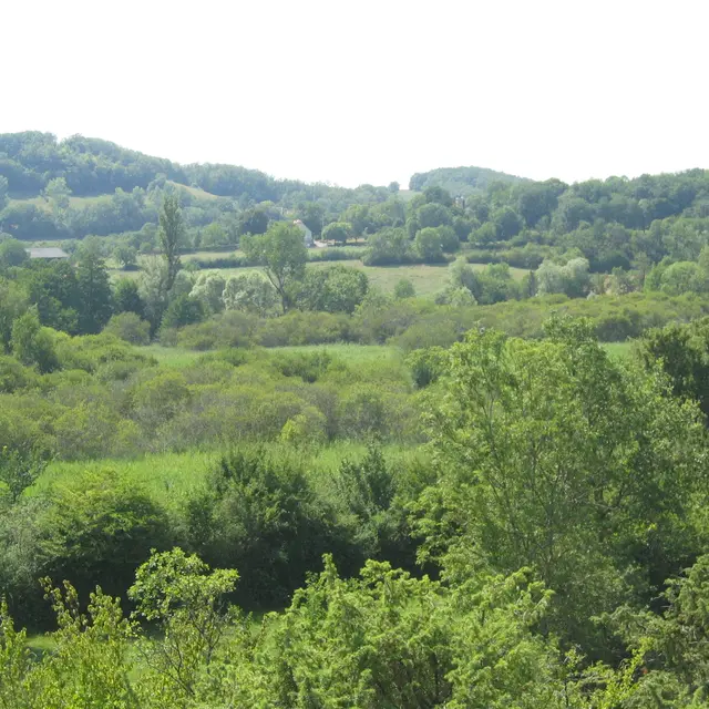 Réserve naturelle Marais de BonnefontIMG_6722.jpg