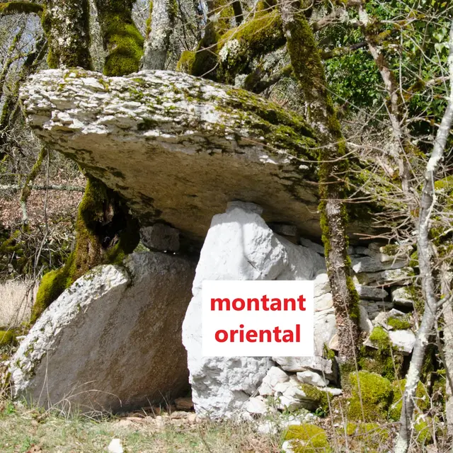 POI 5 - dolmen des Agars.jpg