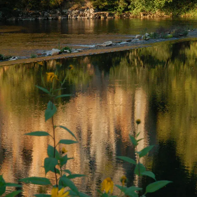 StCirq-sept2011-VS & ER (120)- Virginie Seguin.JPG