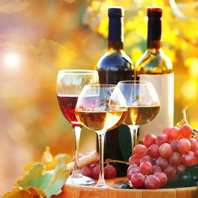 Wine Culture activities in a tourist site or at your place of accommodation..jpeg