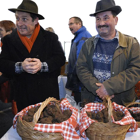 TRUFFE MARCHE.jpg