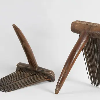 6- Carde ou peignes - dents de fer © PNRCQ.jpg