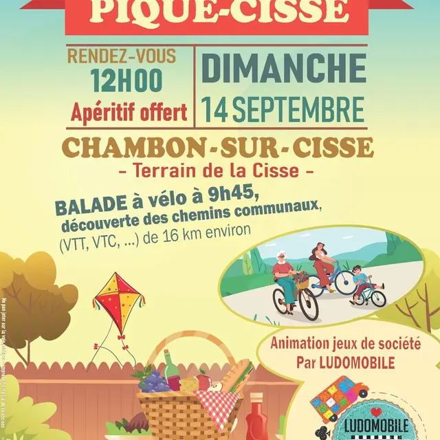 pique-cisse.jpg