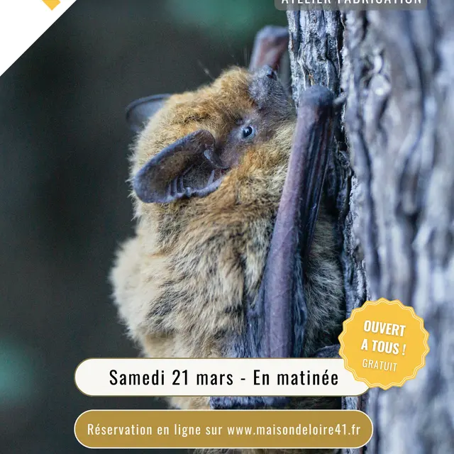 1M 1A 2025-2026 (4).jpg