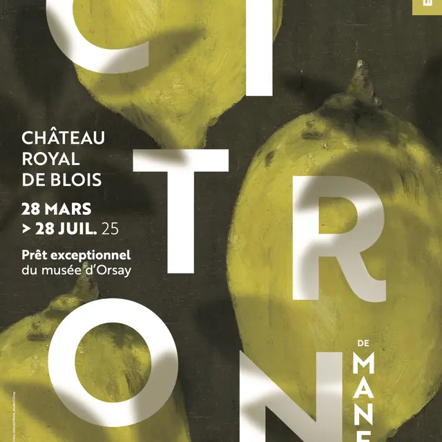 120x176-Chateau-Citron_03-25.jpg