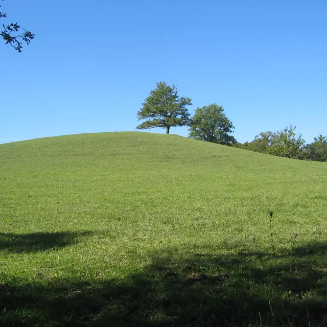 Mont Pouget - DIVERS 008.jpg