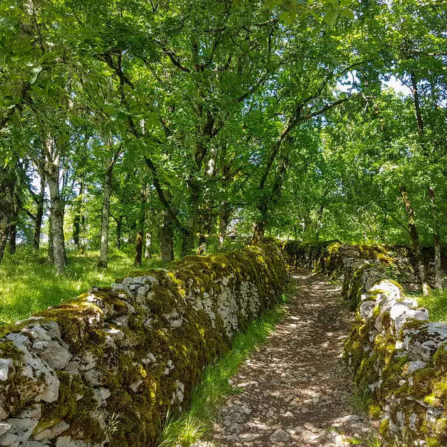 Circuit ENS de la Couasne de Floirac © Lot Tourisme - A. Leconte 180601-171123.jpg