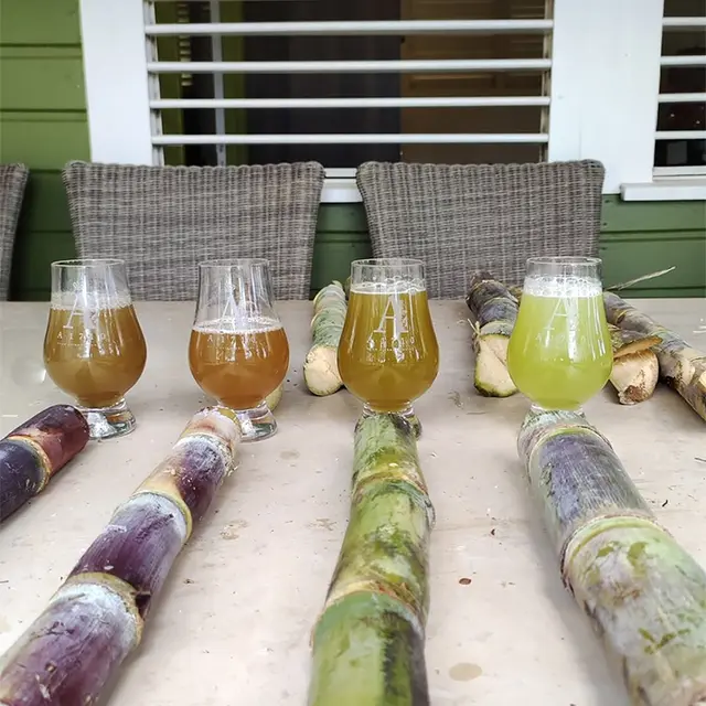 Screenshot 2025-07-16 at 15-32-14 Instagram copie.jpg