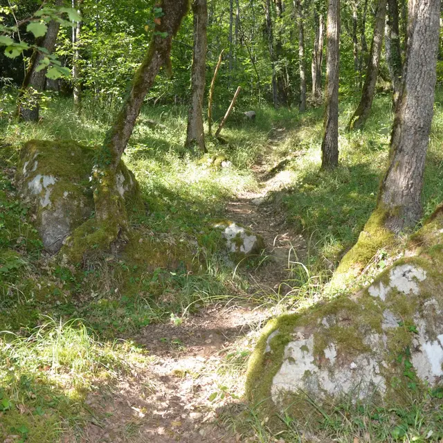 La carrière de meule.jpg