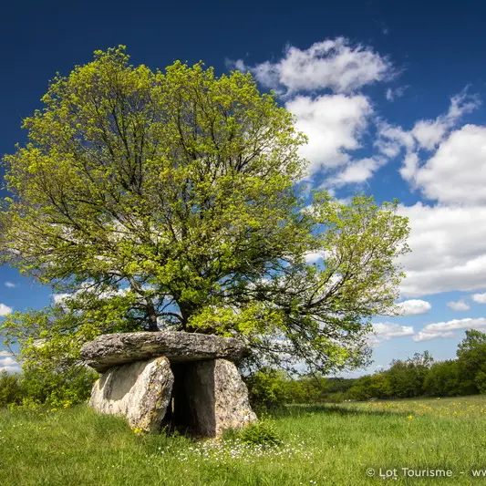Dolmen à Varaire © Lot Tourisme - C. Novello 160429-115608_800x533.jpg