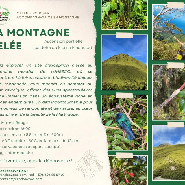 843376_481073118_618492910923863_7920944324570092505_n copie.jpg