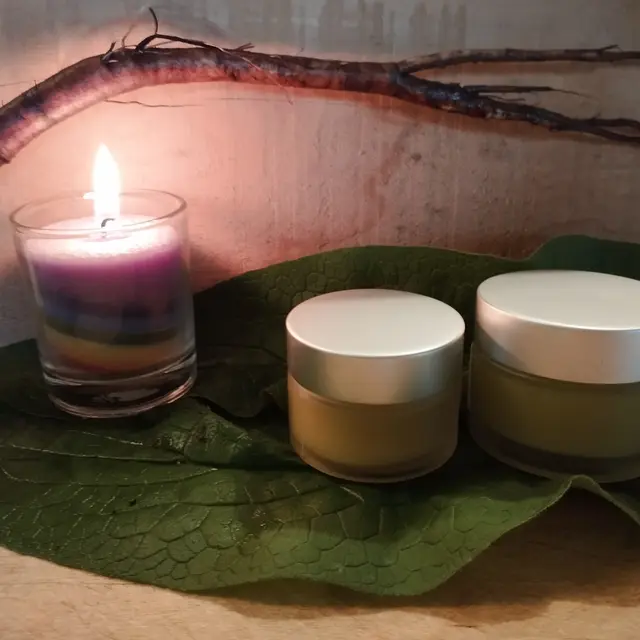 baumes - Frédérique Des graines et des brouettes.jpg