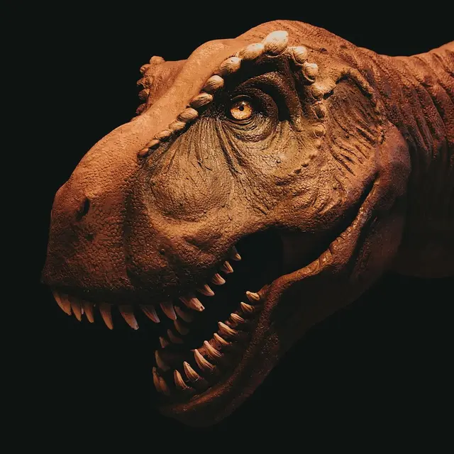 DINO EXPO