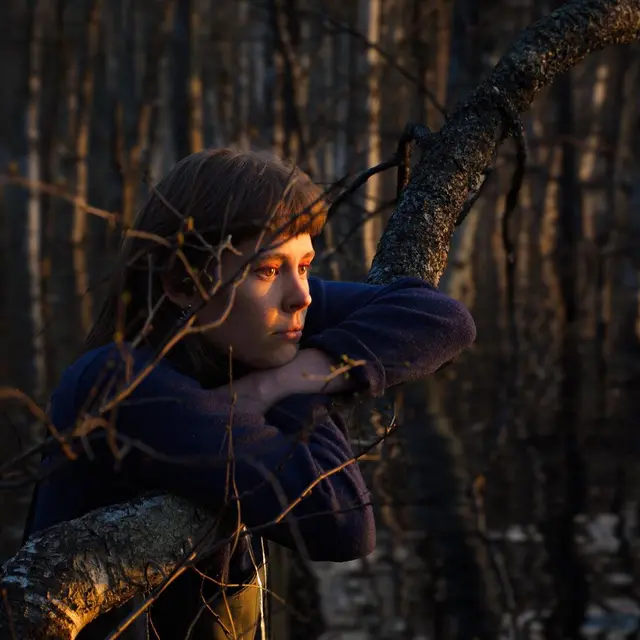 Once upon a time in a forest - Virpi Suutari