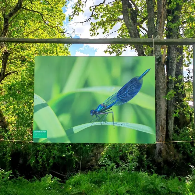 Expo Biodiversité