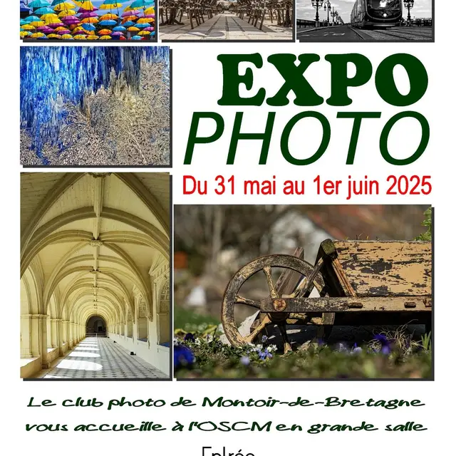 «Expo Photo» Marche image 05/2025